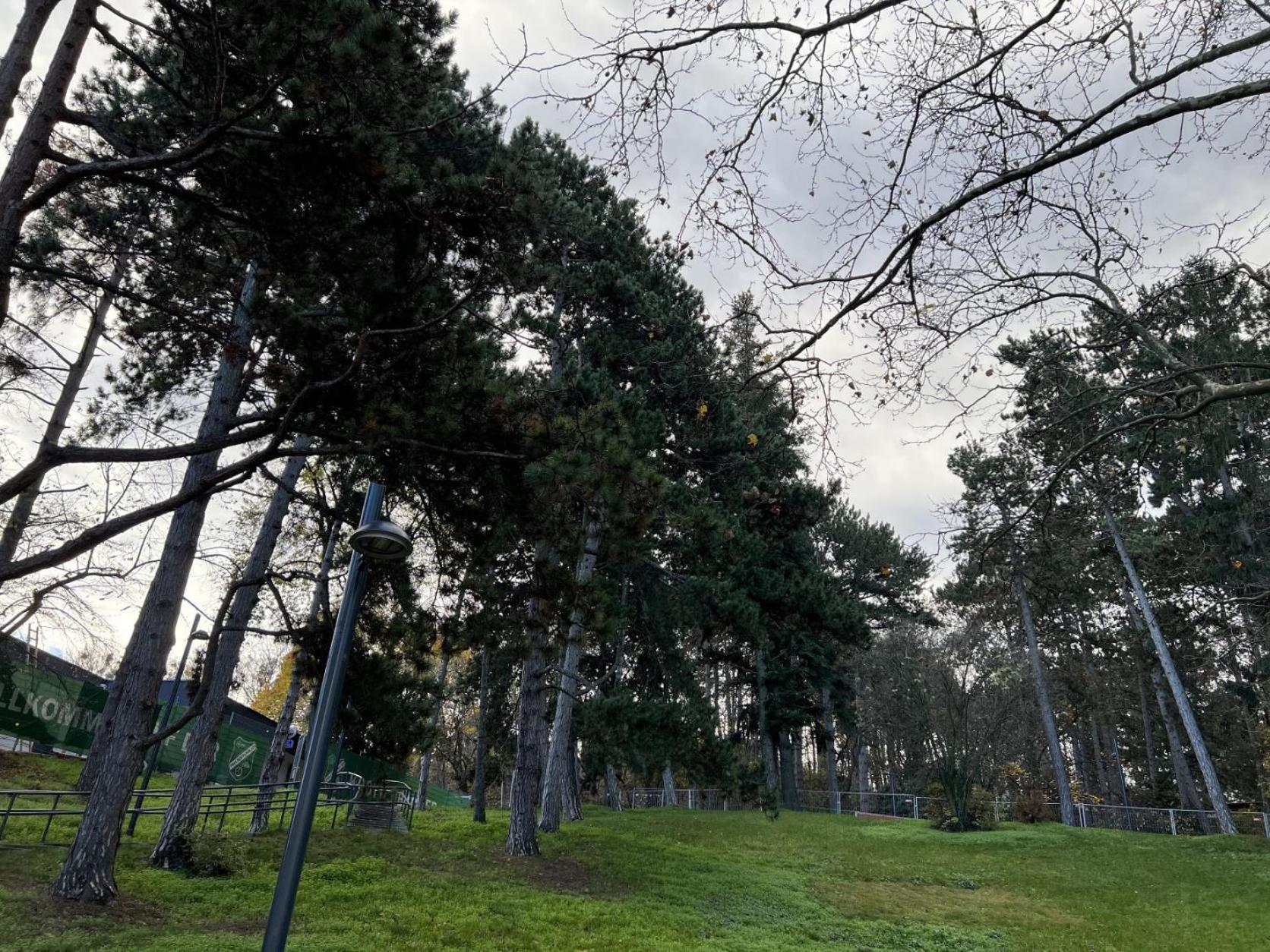 Loge Sollinger1190 Vídeň